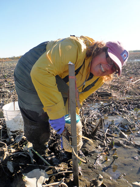 Elizabeth Watson is wetlands section leader in the Patrick Center for Environmental Research and an assistant professor of wetlands science.