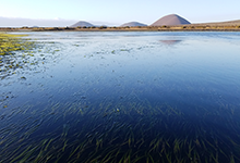 A lagoon in Baja California, Mexico