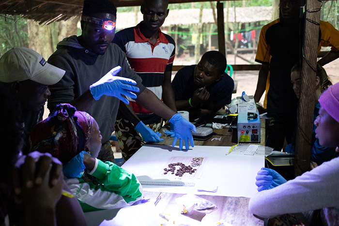 Fabrice Kentatchime, manager of the Ganga Station, teaches students how to identify food remains from chimpanzee feces.