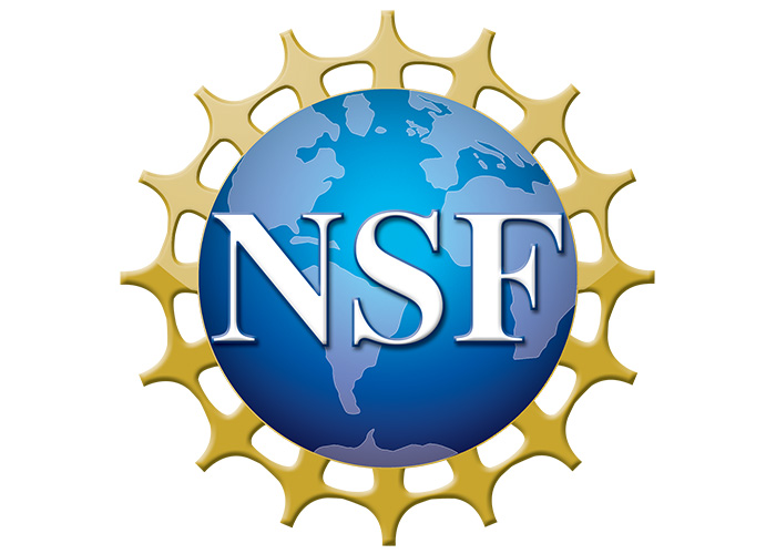 Logo - National Science Foundation