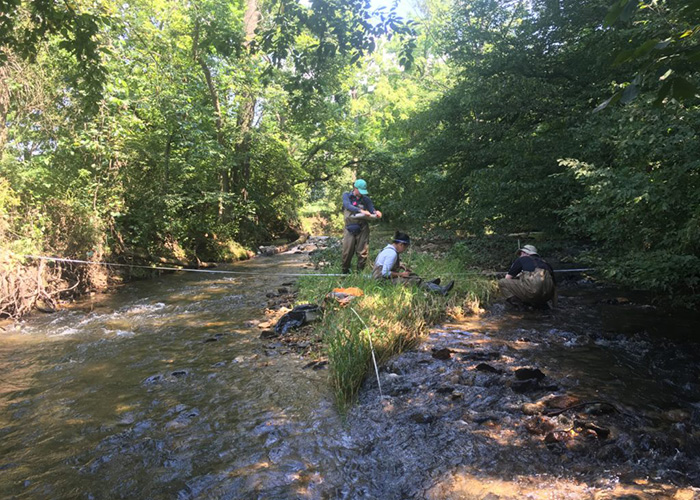 Academy scientists (from left) Tess Hooper, Amanda Chan and Brendan Marencin take measurements and collect algae samples at Northkill Creek in Upper Tulpehocken Township, Berks County.