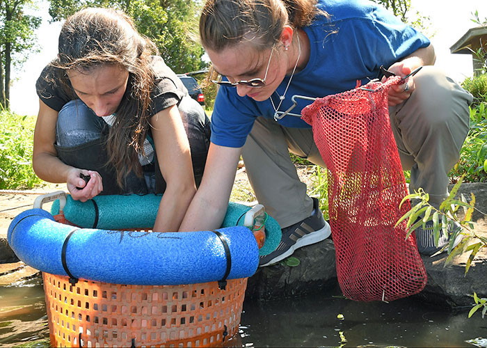 Kathryn Longwill and Lexi Wysocki add juvenile mussels