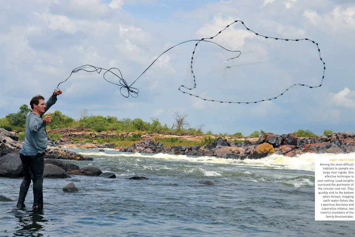 A man casts a fishing net over a river