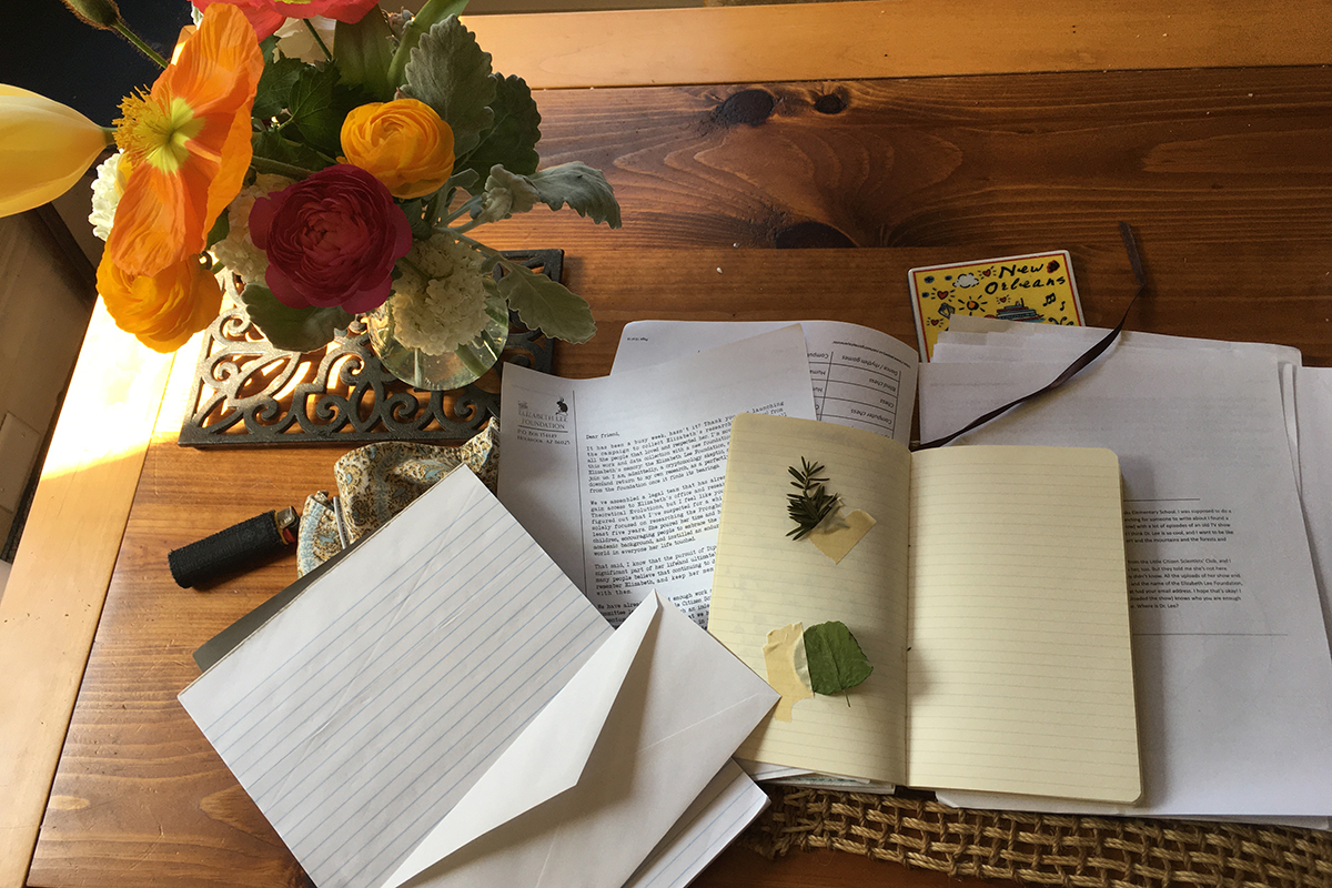 A photo of a notebook and other papers from the game Field Guide to Memory