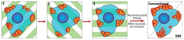 3D Sim of Super Resolution example