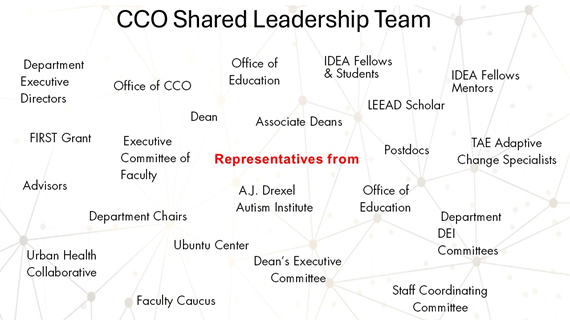 Over 20 entities are represented in the CCO Shared Leadership Team