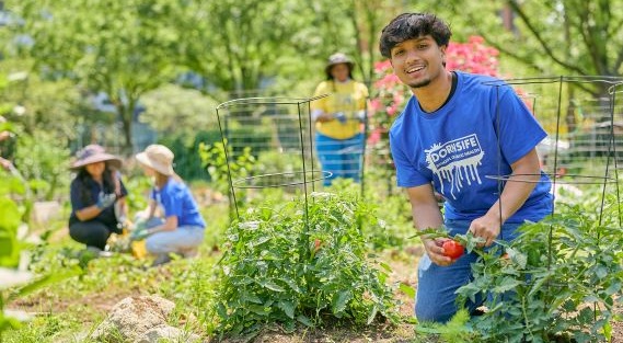 Students working in Summer Winter Community Garden