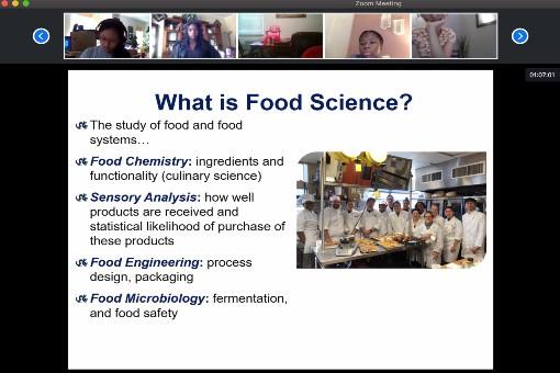 A lesson on food science