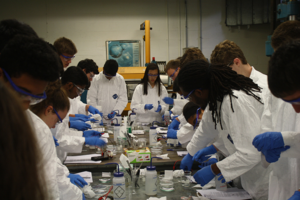 Students prepare their glass substrates for creation of a dye-sensitized solar cell