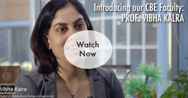 Professor Vibha Kalra