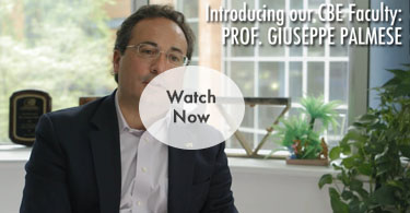 Professor Giuseppe Palmese Video