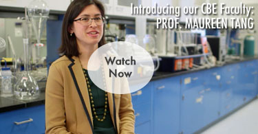 Professor Maureen Tang Video
