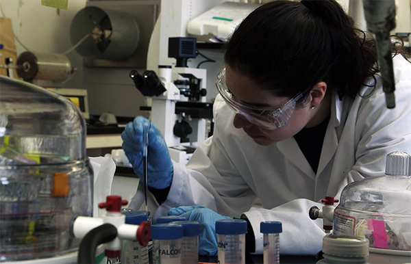 Materials student working in lab