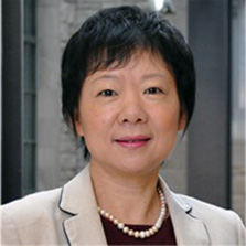 Professor Wei Chen