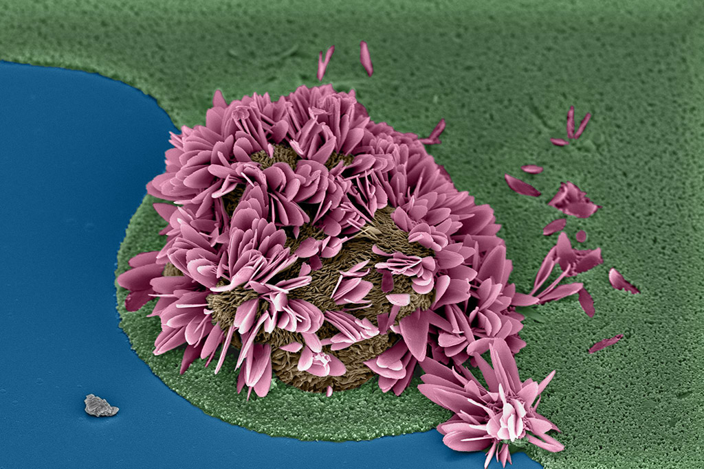 An image related to nanoscience including microscopy or computational simulations.