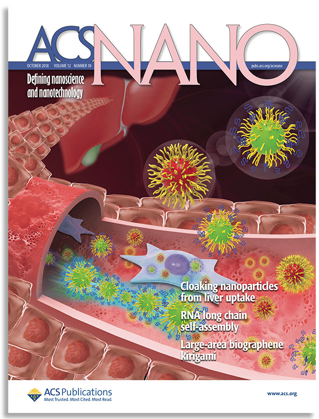 Cover of ACS Nano journal