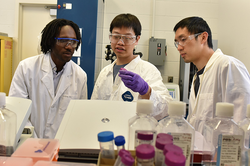 Students performing research in Li's lab