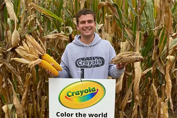 Student in cornfield