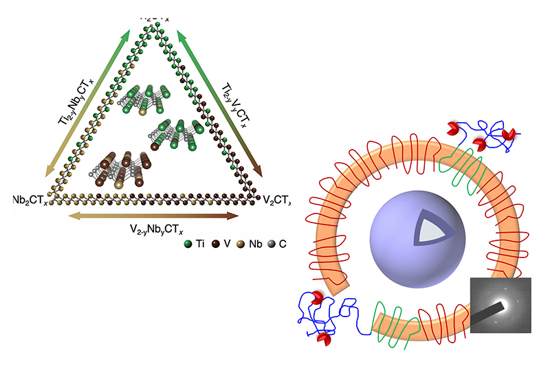graphic representing solid solution MXene and polymer crystal research
