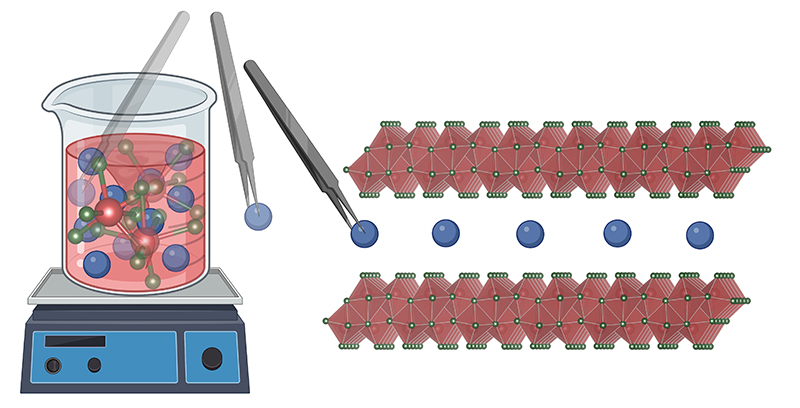 figure illustrating preintercalation method