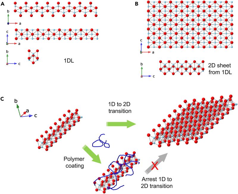 Figure showing that polymer coating prevents 1D NFs from transforming to 2D sheets