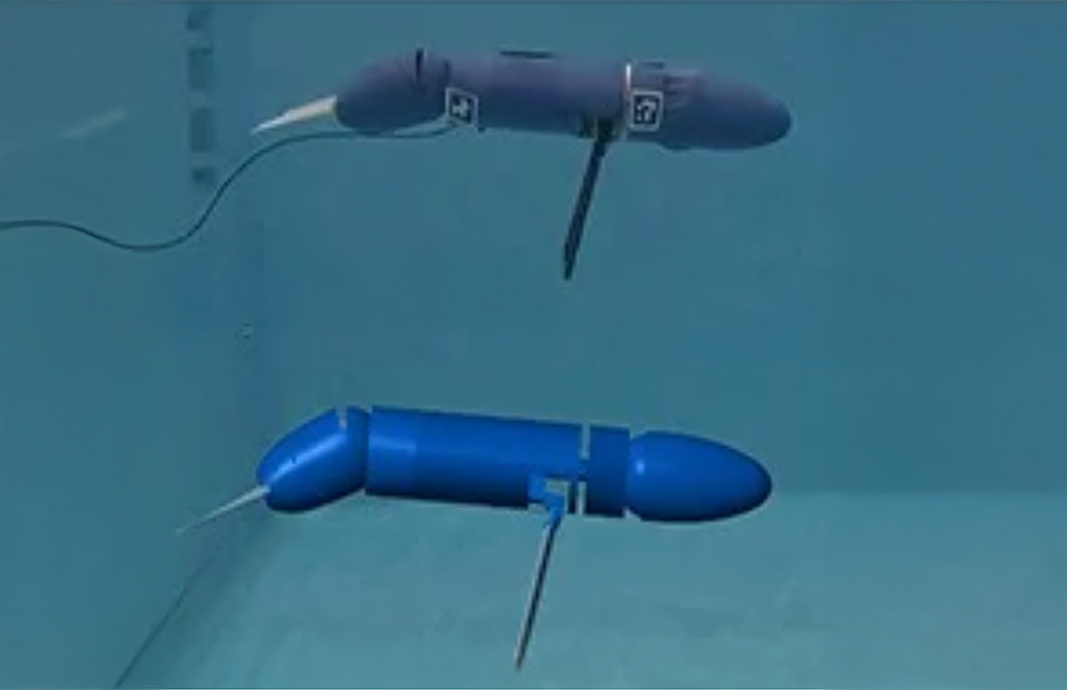 Drexel Engineers Develop High Fidelity Numerical Model for a Bio-Inspired Sea Lion Robot image