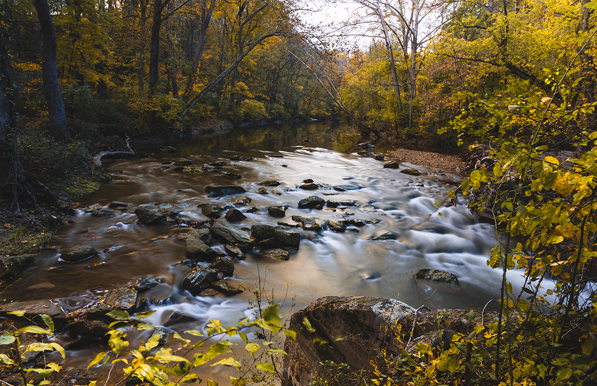 A scenic photo of a creek in a forest