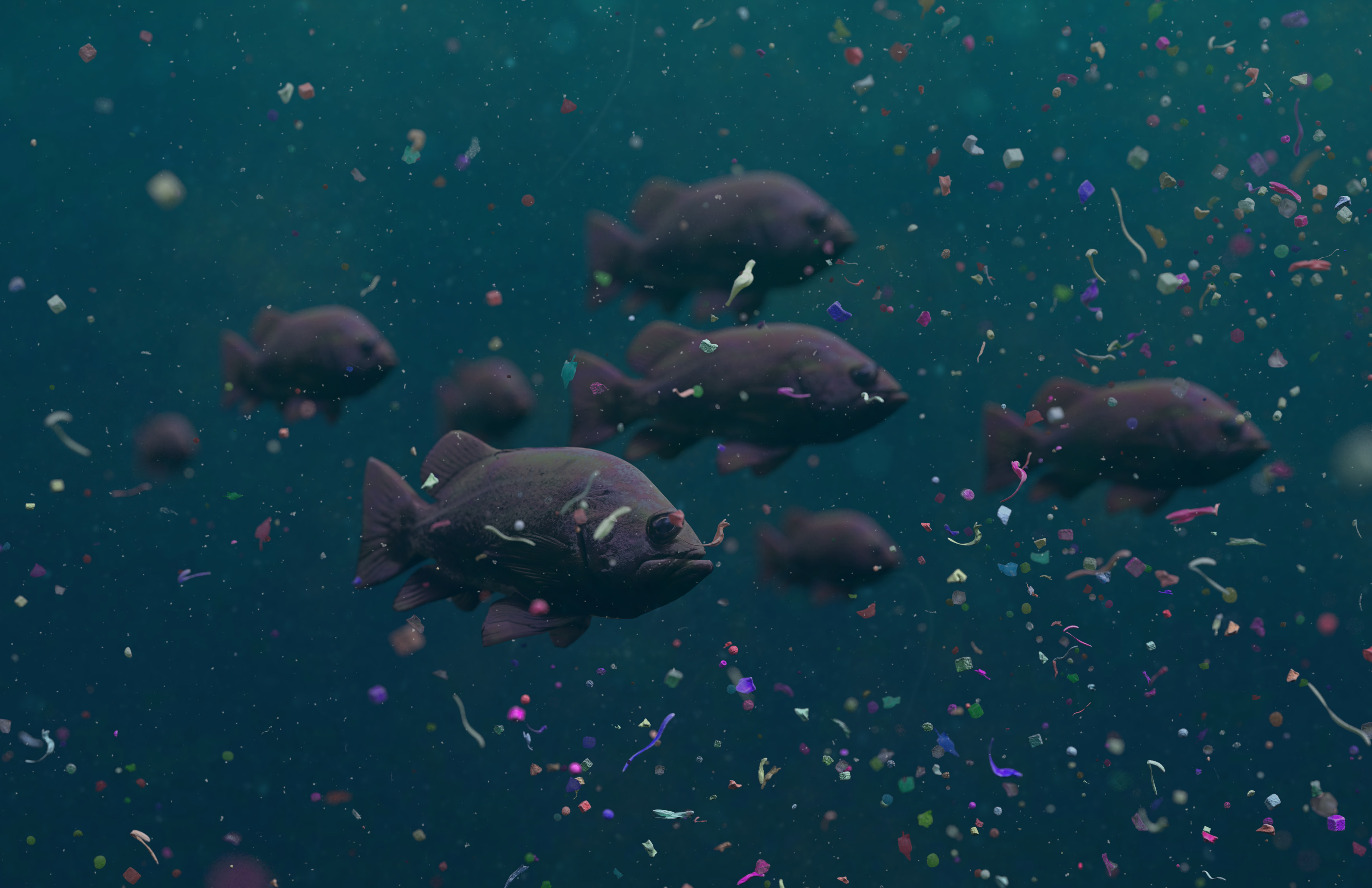 Fish swimming in water polluted by plastics