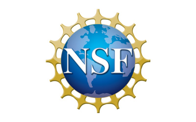 NSF Logo