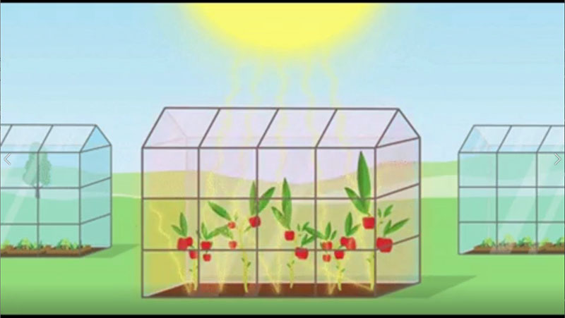 Smart Greenhouse