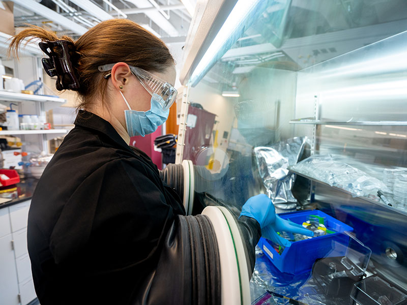 Student working in lab