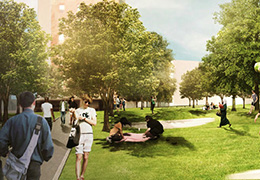 Public Realm Plan University City Rendering