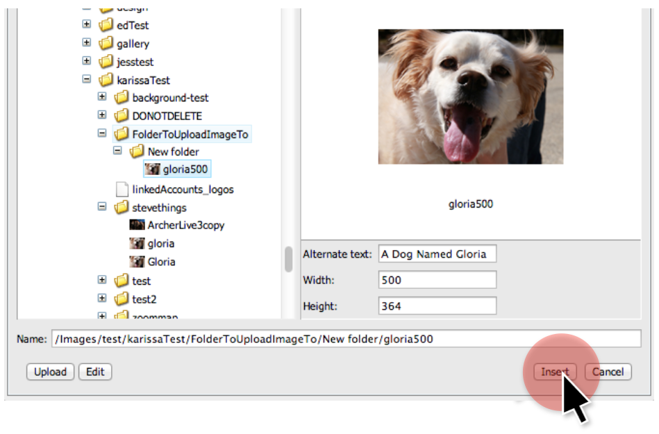 pressing insert image