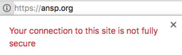 Example Chrome mixed content url