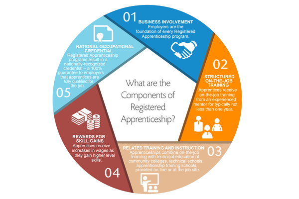 Registered Apprenticeship graphic
