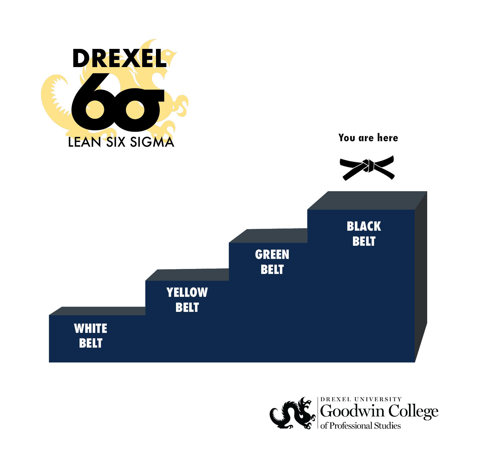 Lean Six Sigma Ladder with "You are Here" on Black Belt step