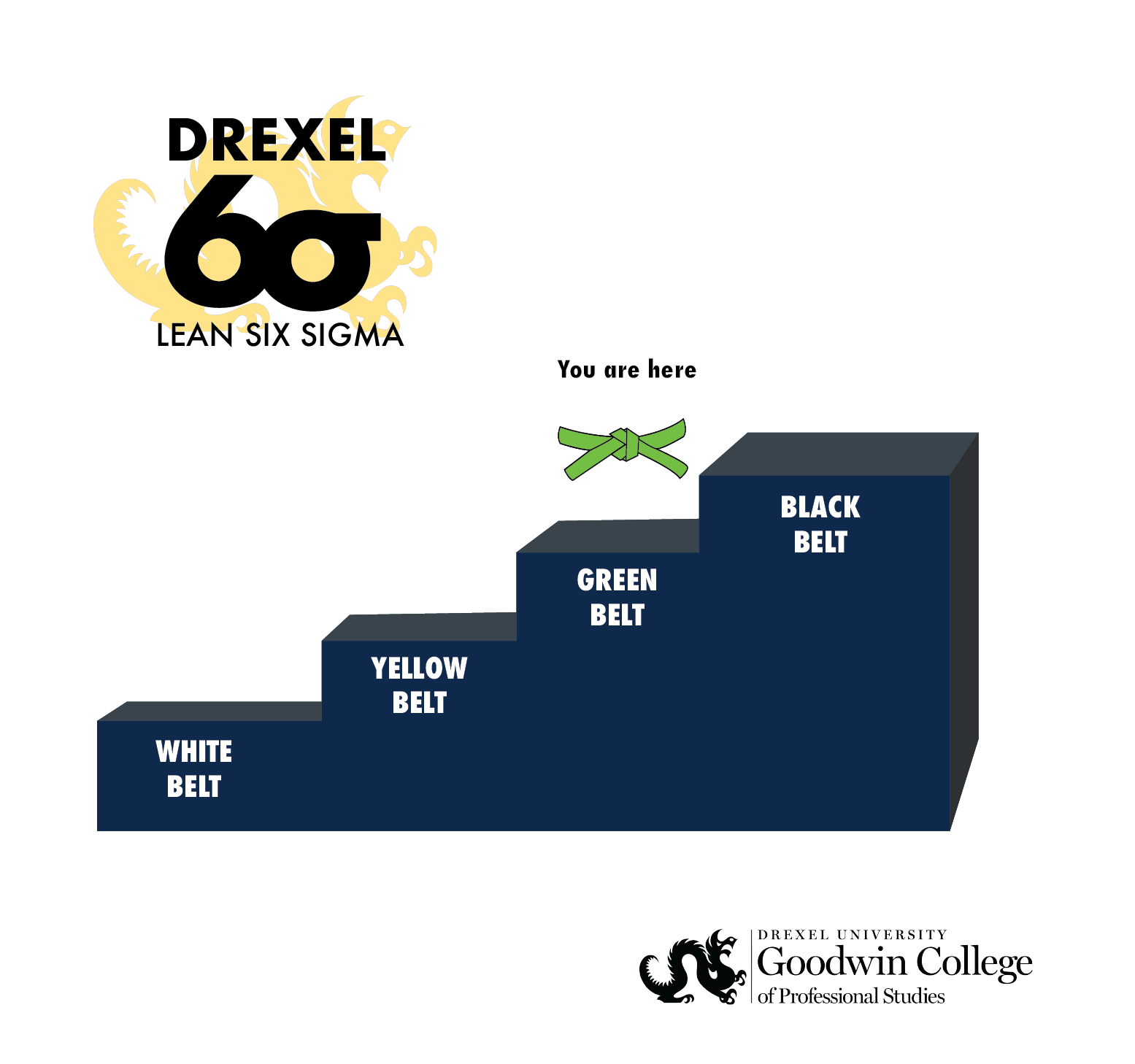 Lean Six Sigma Ladder with "You are Here" on Green Belt step
