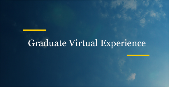 Graduate Virtual Experience
