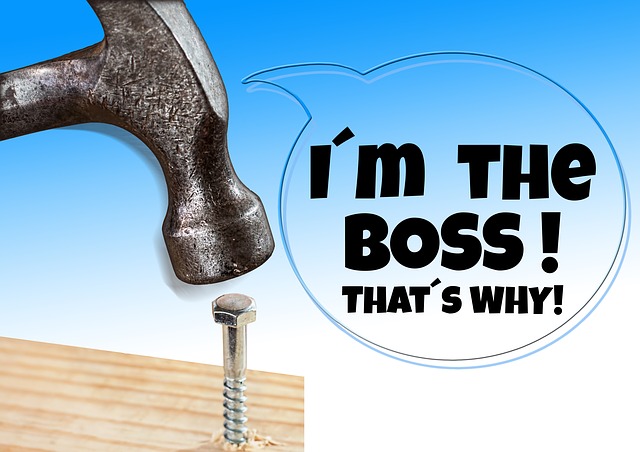 Image of a hammer hitting a nail with the bubble comment: "I'm the Boss! That's why!"