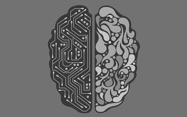 Black and white image of the right and left side of a brain - the left is circuits and the right is more artistic swirls.