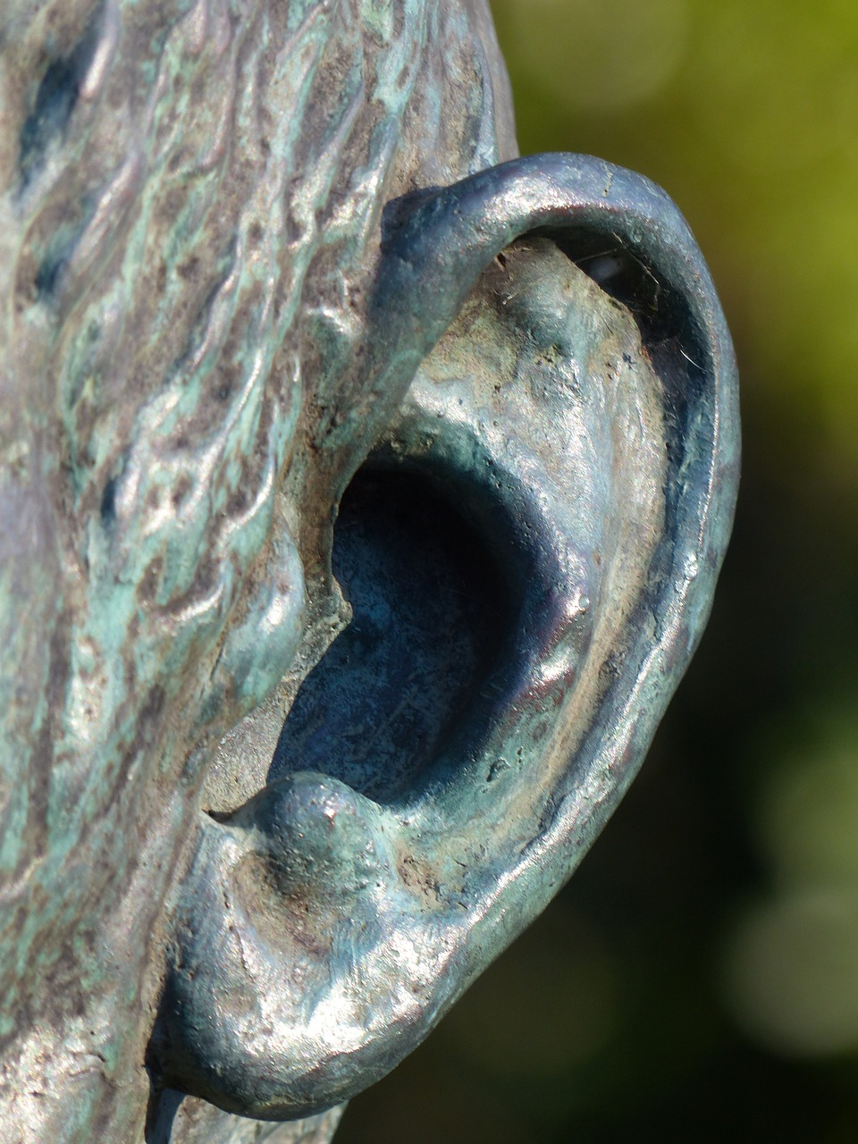 Image of a bronze ear