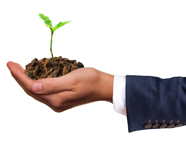Image of a man's hand holding a germinated plant