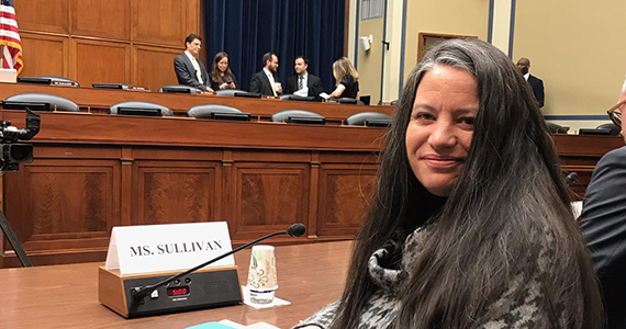 Diane Sullivan Presenting at House Committee