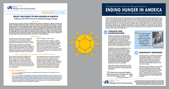 Cover of two policy briefs and sun logo in center on grey field of color