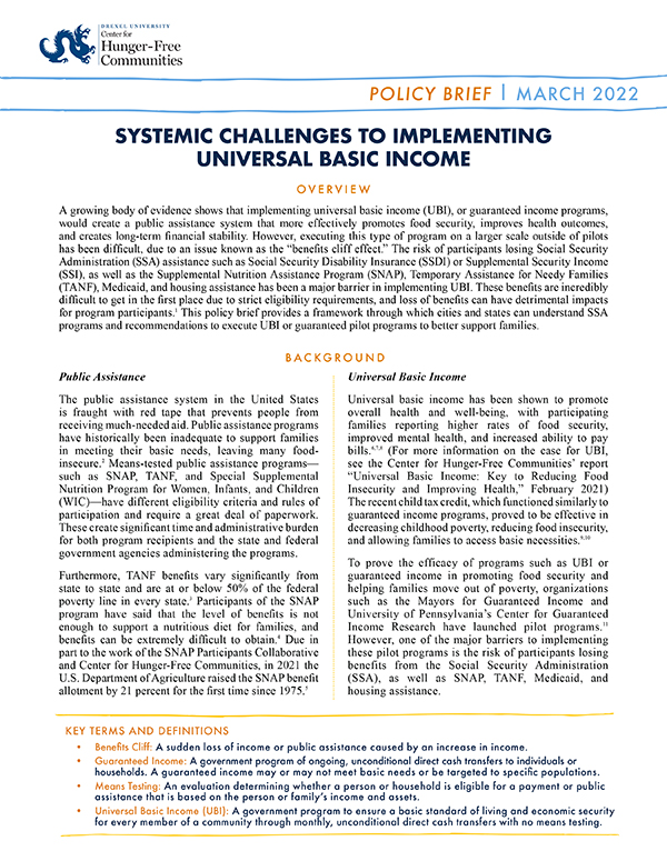 Systemic Challenges to UBI Policy Brief Cover