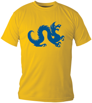 Dragon T-shirt example