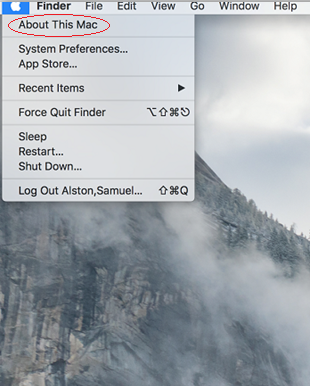 Mac OS X Version screenshot 1