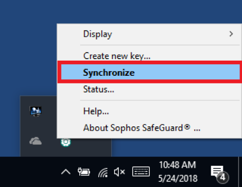 Windows Safeguard Synchronize