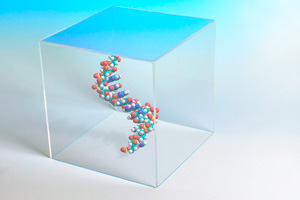 Transparent cube containing model of DNA