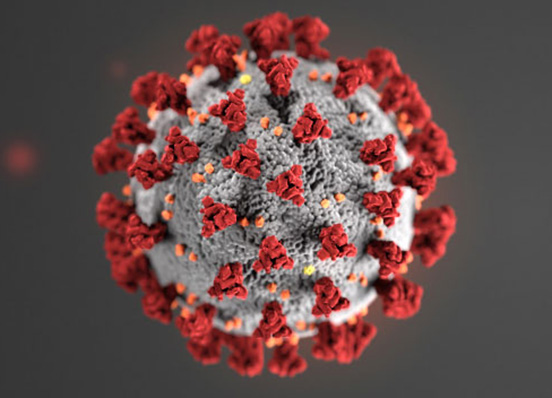 Coronavirus illustration courtesy of the CDC